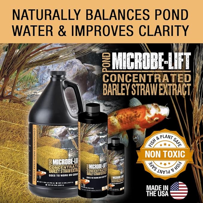 MICROBE-LIFT ALGA32 Algaway 5.4 Algae Control Treatment for Ponds and Water Gardens, 32 Ounces & MLCBSE1L Concentrated Barley Straw Extract Conditioner for Ponds and Outdoor Water Garden,32 Ounces
