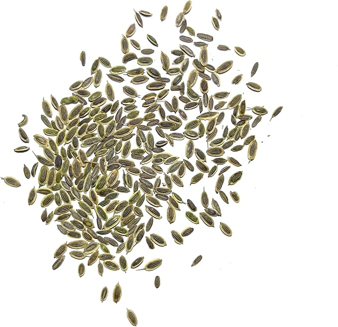 Seed Needs, Bouquet Dill Seeds - 250 Heirloom Seeds for Planting Anethum graveolens - Culinary Herb to Grow Indoors or Outdoors, Non-GMO & Untreated (1 Pack)