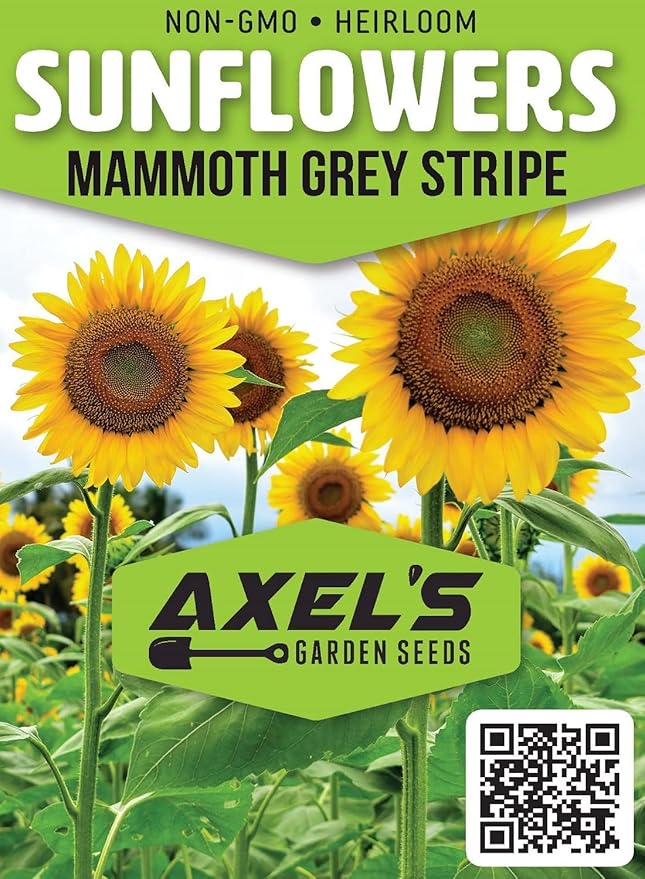 Mammoth Sunflower Seeds for Planting - Grow Giant Sun Flowers in Your Garden - 50 Non GMO Heirloom Seeds - Full Planting Instructions for Easy Grow - Great Gardening Gifts (1 Packet)