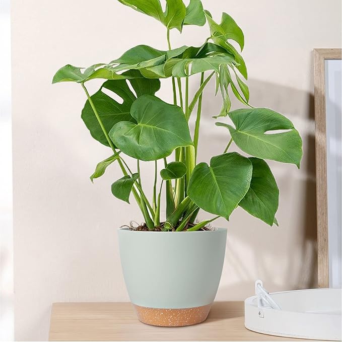 GARDIFE Plant Pots Set of 2 Pack 8 inch,Planters for Indoor Plants with Drainage Holes, Modern Decorative Flower Pots for All House Plants, Flowers, Green