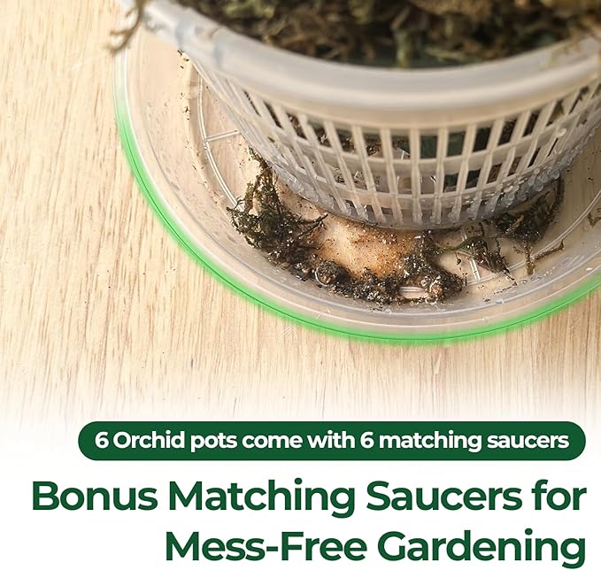 T4U Orchid Pot, 6 Pack 5.5 Inch Clear Orchid Pots with Holes and Saucers for Repotting, Plastic Flower Plant Pot with Drainage for Indoor Outdoor Plants, Slotted Orchids Planter for Root Health