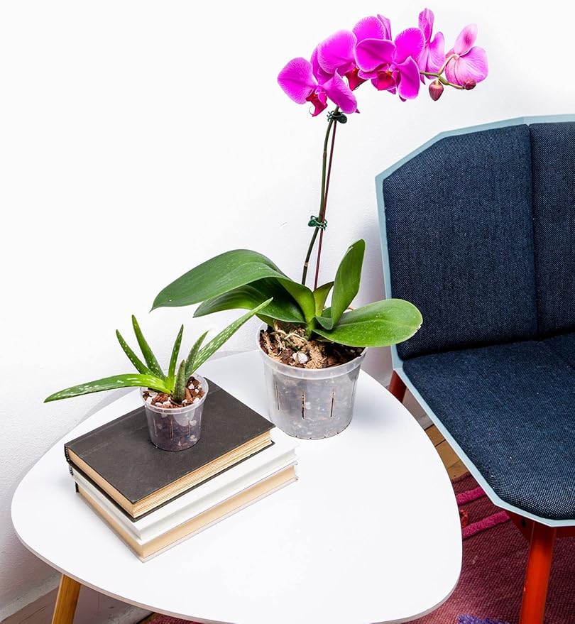 rePotme Orchid Pot Growers Assortment (4 Slotted Clear Orchid Pots - 1 Each of 3, 4, 5, 6 Inch) - Premium Orchid Planters, Orchid Pots with Holes for Repotting