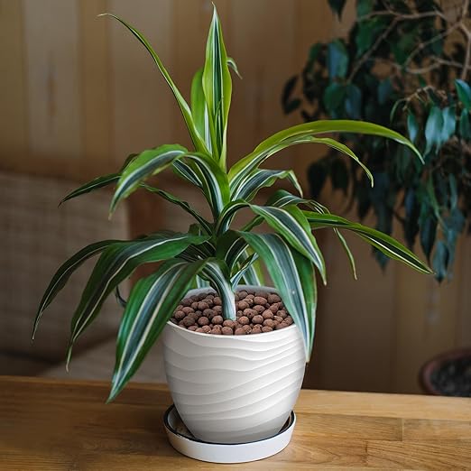 5LB Leca Clay Pebbles for Plants, Expanded Leca Balls for Indoor Plants, Orchid Potting Mix, Soil Amendment, Drainage, Easy Reusability, 4-16mm