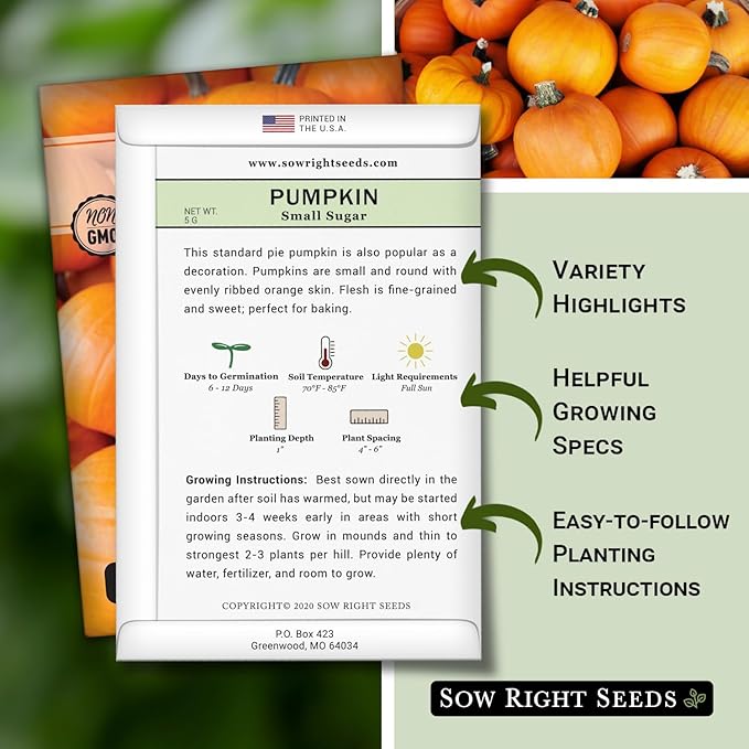 Sow Right Seeds - Small Sugar Pumpkin Seed for Planting - Non-GMO Heirloom Packet with Instructions to Plant a Home Vegetable Garden - Mini Orange Sugar Variety on Long Vines - Fast Growing (3)