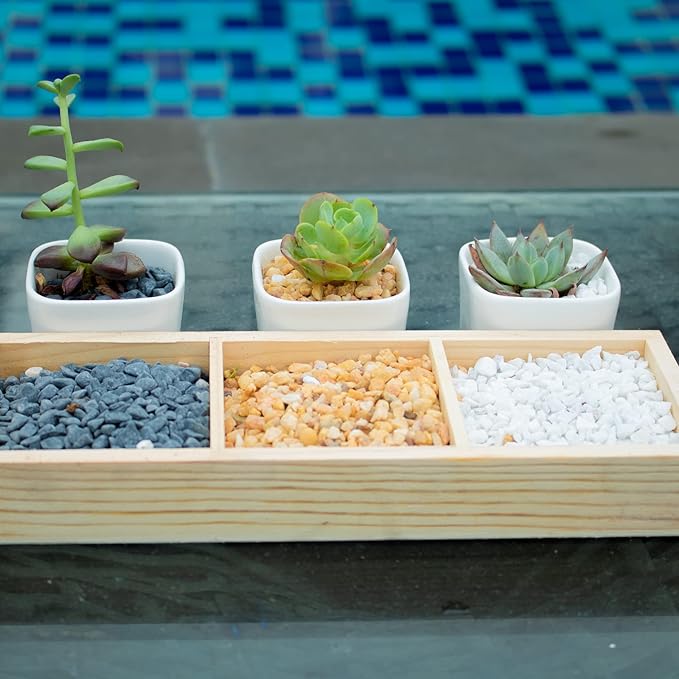 3lb Coarse Sand Stone-Succulents and Cactus Bonsai DIY Projects Rocks,Decorative Gravel for Plants and Vases Fillers,Terrarium,Fairy Gardening,Natural Stone Top Dressing for Potted Plants (2mm-4mm)