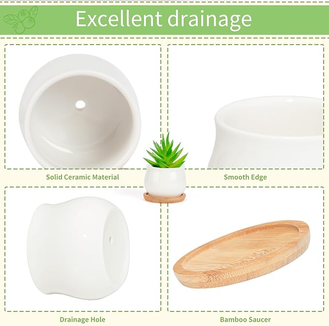 Succulent Pots, White Mini 2.5 inch Ceramic Flower Planter Pot with Bamboo Tray, Pack of 12 - Plants Not Included