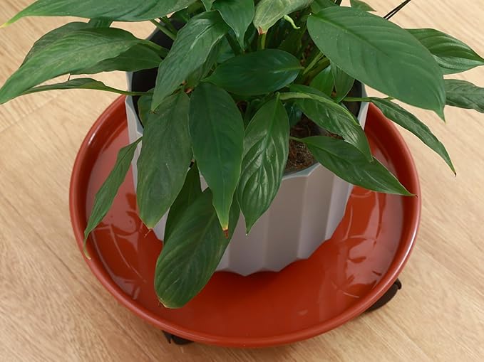 6 Packs Plastic Plant Caddy with Wheels 11.8" Plastic Rolling Plant Stands Heavy-Duty Plant Dolly with Casters Indoor and Outdoor Plant Roller Base Wheels, Rust Red