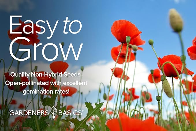 Poppy Seeds for Planting Outdoors Flower Seeds (4 Variety Pack) Poppies Iceland, California, California Mikado and Red Corn Varieties for Bees, Pollinators Wildflower Seed by Gardeners Basics