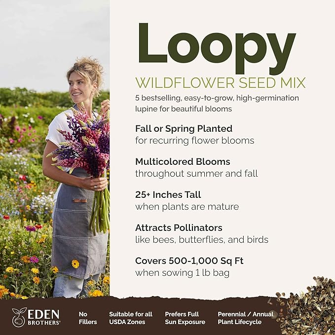 Eden Brothers Lupine Flower Mixed Seeds for Planting, 1 lb, 480,000+ Seeds with Russell, Arroyo, Yellow, Sky Lupine | Attracts Pollinators, Plant in Spring or Fall, Zones 3, 4, 5, 6, 7, 8, 9, 10