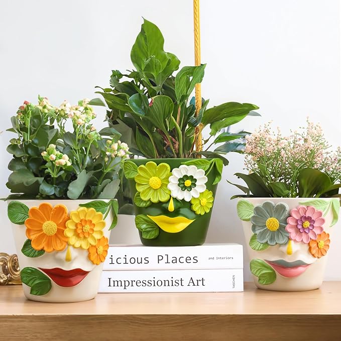 GUGUGO Unique Face Flower Plant Pots, Colorful Cute Succulent Planters with Drainage, Abstract Rainbow Head Flower Planters Pots for Indoor Plants, Funny Eclectic Home Décor (Blue&Pink, 5Inch)