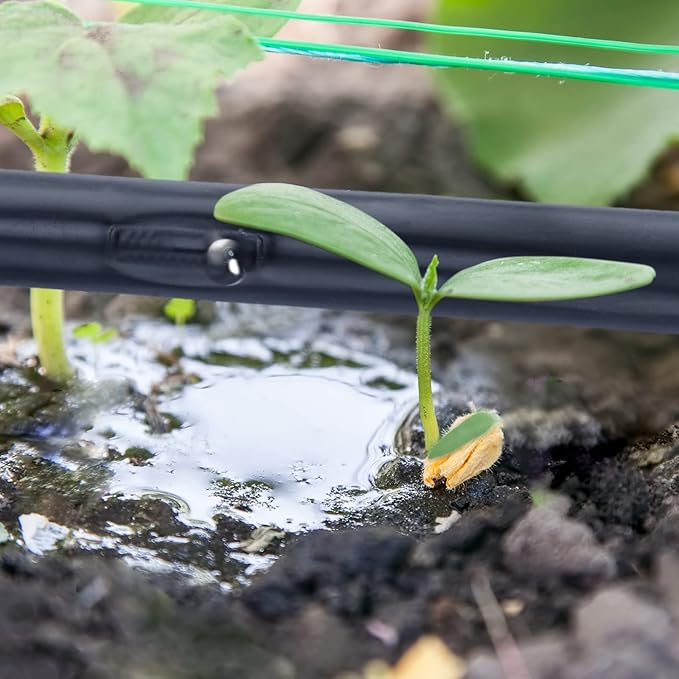 Treela 5/8 Inch Drip Tape 6" Spacing Roll Irrigation Hose Garden Watering Tube Line Automatic Irrigation Equipment for Garden Irrigation System Flower Patio Lawn Irrigation Hose (8 Mil, 1000ft)