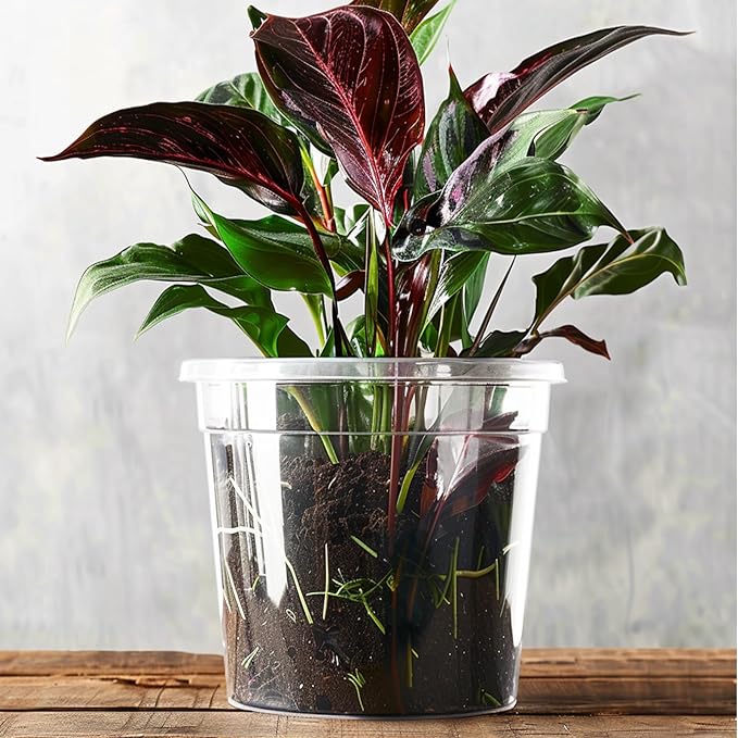 RAOOKIF 30 Pack 1 Gallon Pots with Drainage Holes, 7 Inch Clear Nursery pots, 1 Gallon Plastic Plant Pots for Seedlings, Clear Seed Starters, and Flower Planting