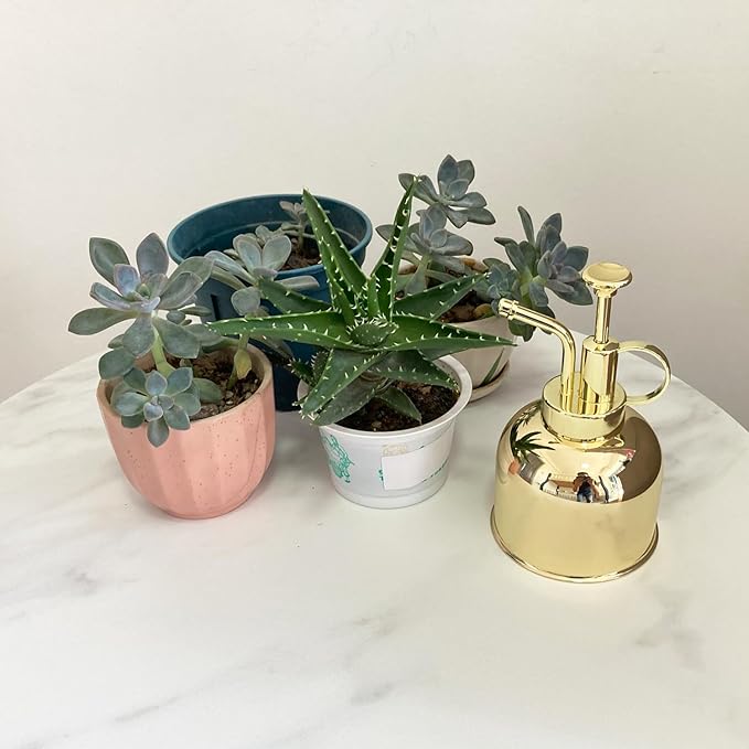 Plant Mister Spray Bottle Stainless steel plant sprayer, small watering can plant spray bottle Modern gardening tools for indoor potted plants watering and spraying