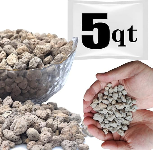 Horticultural Pumice for Plants Professional Sifted (5QT, 3/8 inch)