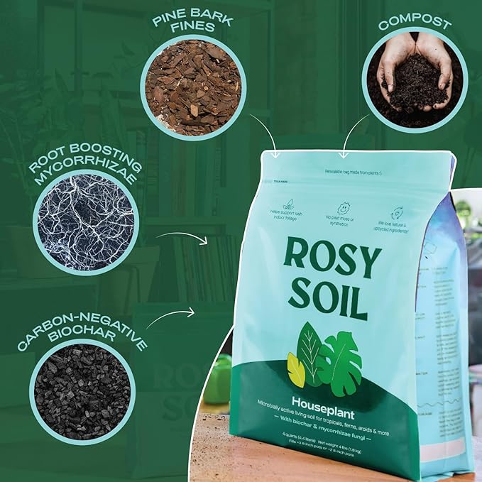 Indoor Potting Soil for House Plants - Organic Potting Soil Mix for Indoor Plants - Enriched w/Root-Boosting Biochar for Foliage Plants, Flowers, Herbs - Peat Free, Less Prone to Gnats - 4qt