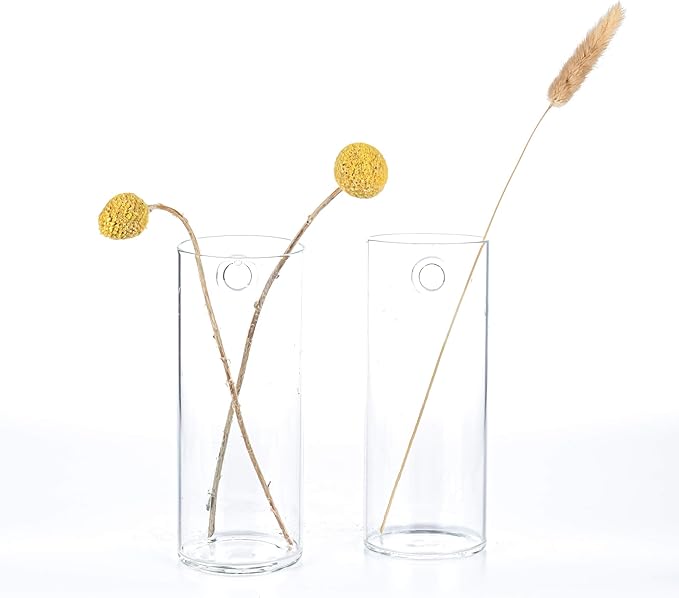 Kingbuy Glass Planter Terrarium Plant Propagation Station Wall Hanging for Home Office Decor, Medium Cylinder, 2 Pack