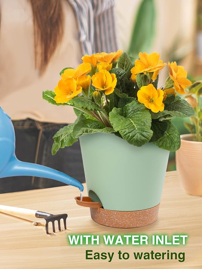 6in Self Watering Pots for Indoor Plants - 3pcs Bottom Watering African Violet Planters with Drainage, Plastic Houseplant Flower Pots for Snake Plant Succulent Garden Live Plants