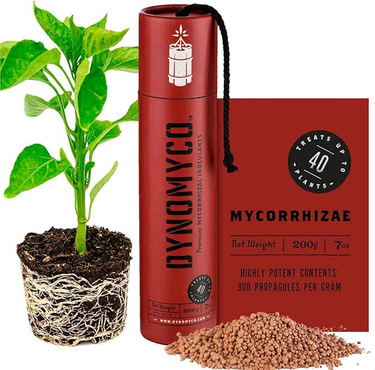 DYNOMYCO Mycorrhizal Inoculant - Plant Growth & Root Treatment, Concentrated Mycorrhiza Formula, Boosts Nutrient Uptake, Mycorrhizae Plant Food for Resilience & Fertilizer (200g / 7oz)