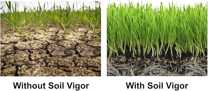 Potassium Polyacrylate for Garden Lasts Up to 7 Years in Soil (10)