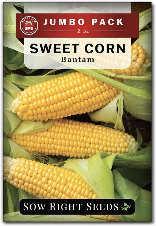 Sow Right Seeds - Bantam Sweet Corn Seed for Planting - 2 Ounce, 200 Seeds - Non-GMO Heirloom Bulk Packet with Instructions to Plant a Home Vegetable Garden - Grow Loads of Tall Sweet Yellow Corn