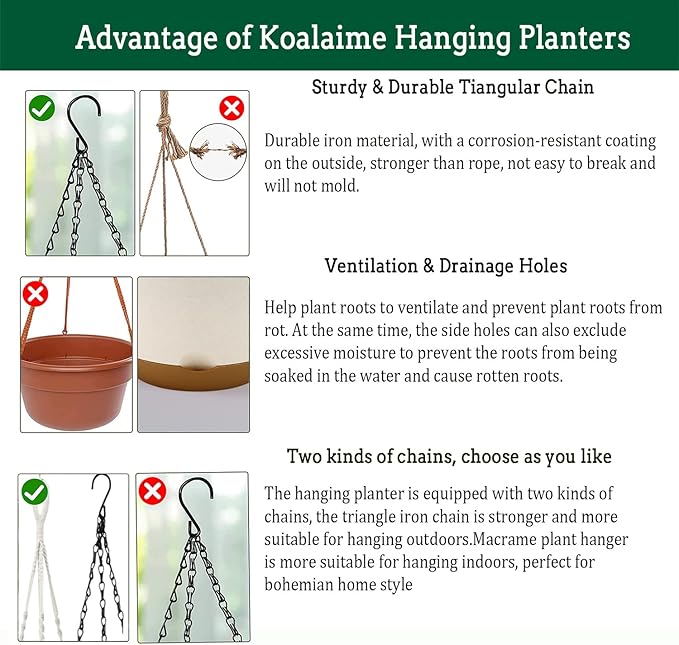Hanging Planter Self Watering 10 Inch, 2 Pack Indoor Outdoor Hanging Baskets, Hanging Flower Pots with Drainage Hole & 2 Kinds of Plant Hangers for Garden Home Decor(Cream)…