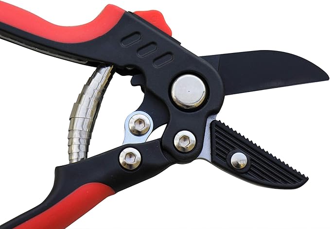 TABOR TOOLS S852A Anvil Hand Pruner with Compound Action, Makes Clean Cuts. Professional Sharp Secateurs, Pruning Shears, Garden Shears, Clippers for the Garden.