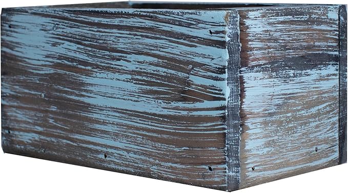 Ornamental Indoor Planter with Pet/Cat Grass Growing kit, Handcrafted in The USA from Red Cedar (Aged Tourquoise)