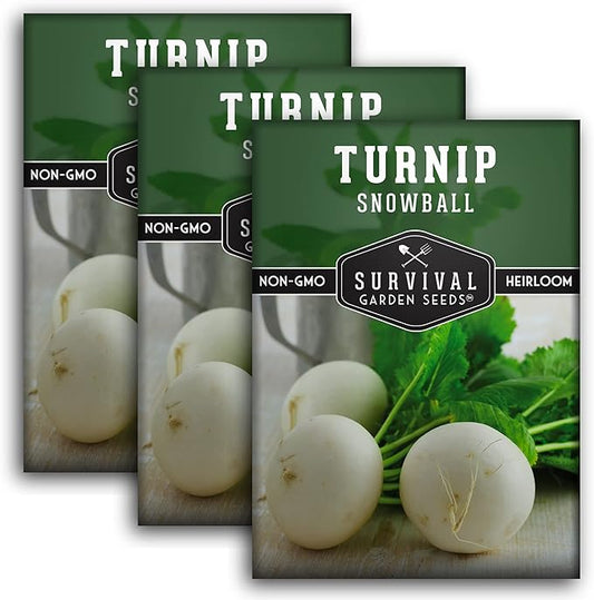 Survival Garden Seeds - Turnip Snowball Seed for Planting - 3 Packs with Instructions to Plant and Grow Root Vegetables and Greens in Your Home Vegetable Garden - Non-GMO Heirloom Variety - Seed Vault
