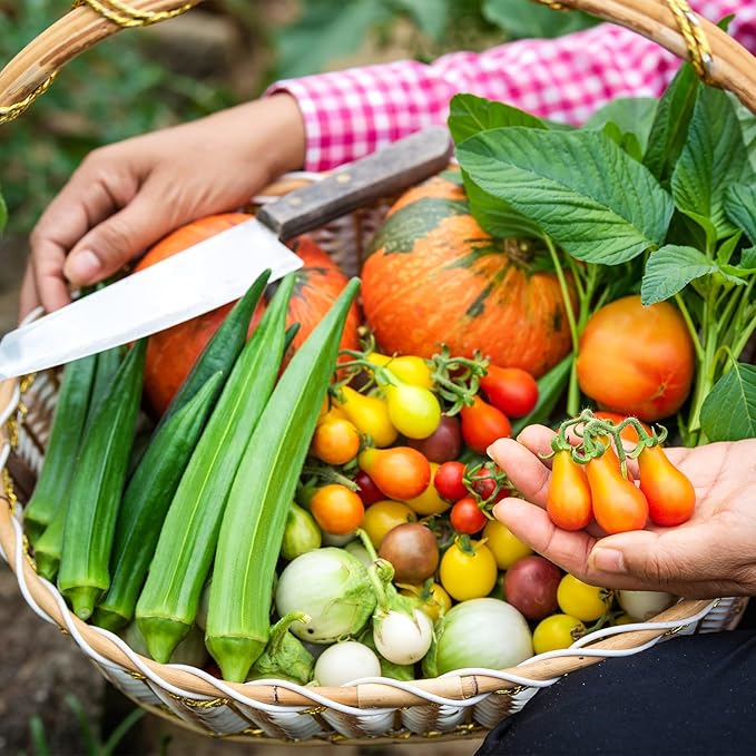 21 Varieties Vegetable Seeds for Planting, 7,000+ Heirloom Seeds Gift Pack, Non-GMO Veggies Seed Garden Kit for Indoor Outdoor Growing, Home Fresh Food Vegetable Supply