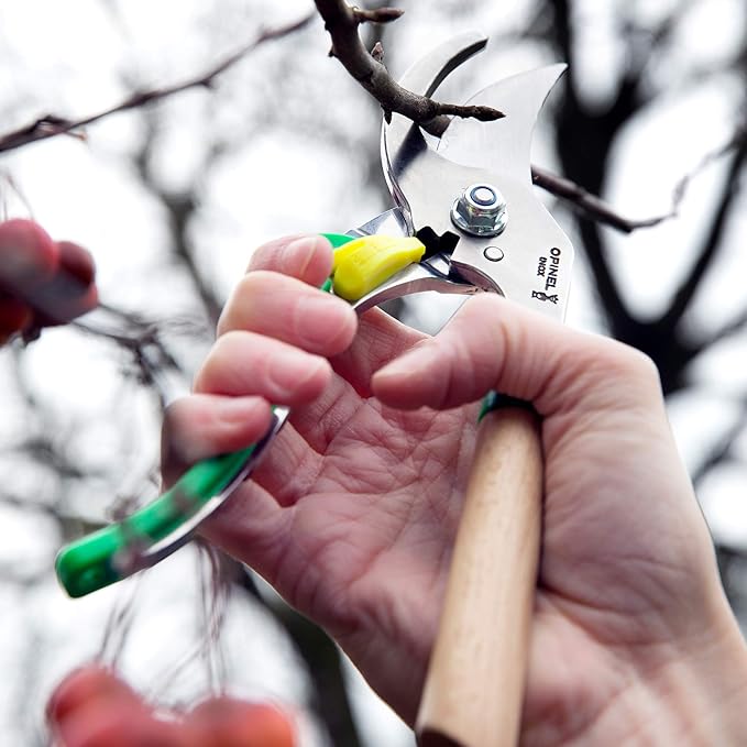 Opinel Hand Pruning Shears with non-slip beech wood handle perfect for bypass trimmers, garden, hedge, lawn clippers or hand scissors with stainless steel blade (Green)