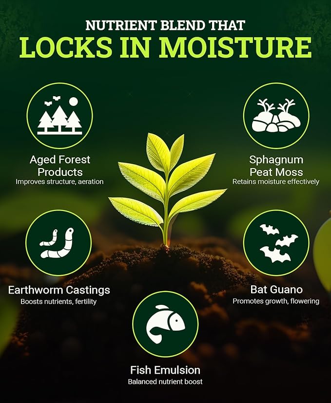 FoxFarm Ocean Forest Potting Soil, 12qt – Light, Aerated Texture, Designed for All Container Plants – pH Adjusted for Optimal Nutrient Uptake, Effectively Retains Moisture (12 Quart (2 Pack))