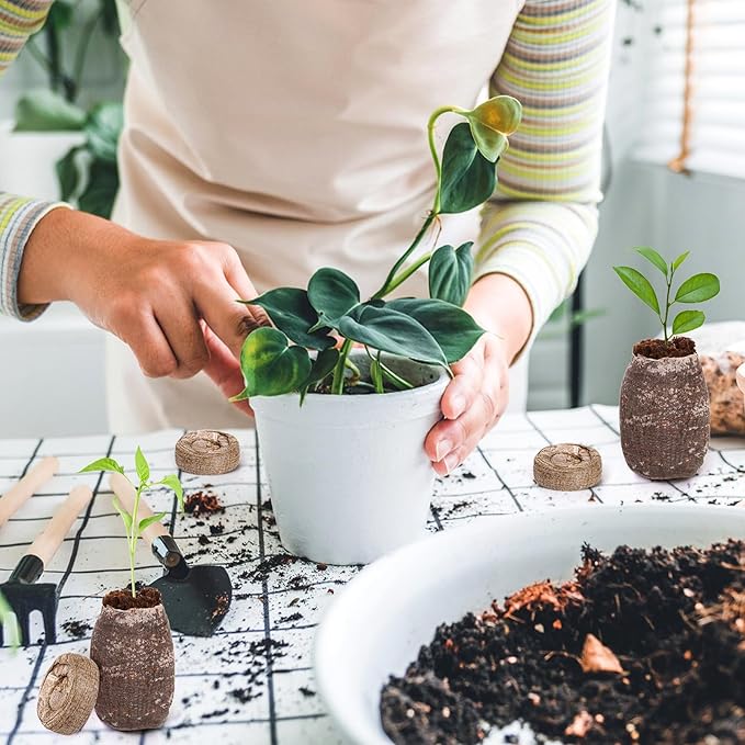 Bekith 200 Pcs 30mm Compressed Coco Coir Fiber Potting Soil, Organic Coco Coir Pellet Fiber Soil, Coconut Coir Pellets Seed Starter Soil for Planting Bonsai, Flower, Herbs, Vegetables