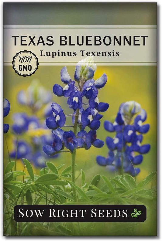 Sow Right Seeds - Texas Bluebonnet Seeds to Plant - Non-GMO Heirloom Seeds -Full Instructions for Planting - Beautiful Perennial Blue Blooms -Sweet Addition to Your Yard (1)
