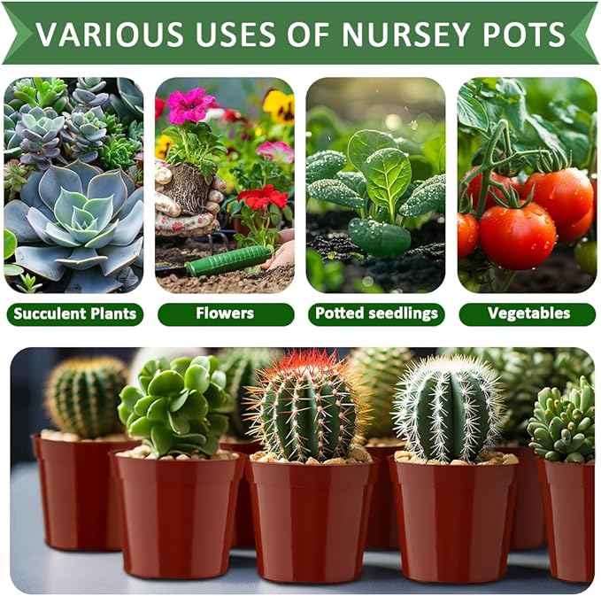 100-Pack 2.5 inches Plus Tiny Round Plant Pots Succulent Seedling Nursery Pots Made from Virgin Grade PP Material(Tiny, 68mm2.5 inch)