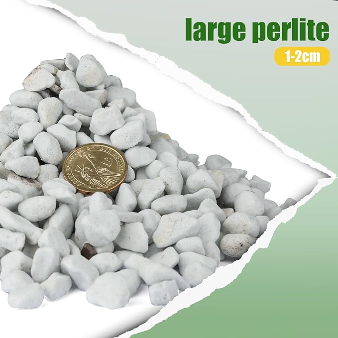 Organic Chunky Perlite for Plants (0.4"-0.8" in Diameter), Natural Horticultural Soil Additive Conditioner Mix, Improve Drainage and Ventilation, Enhance Soil Health and Root Growth (10 Quarts)