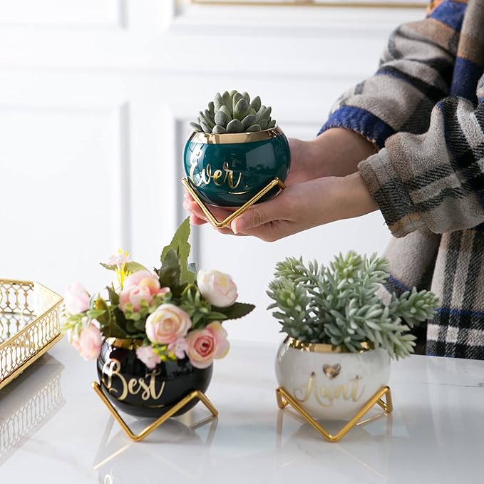 Aunt Gifts, Gifts for Aunt from Niece & Nephew, Best Aunt Ever Gifts, Birthday Gifts for Aunt, Auntie Gifts from Niece Nephew, Great Aunt Gifts, Gardening Gifts for Aunt Unique, 3 Succulent Pots Only