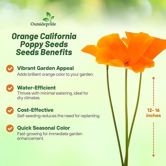 Outsidepride California Poppy Seed - 1/4 LB
