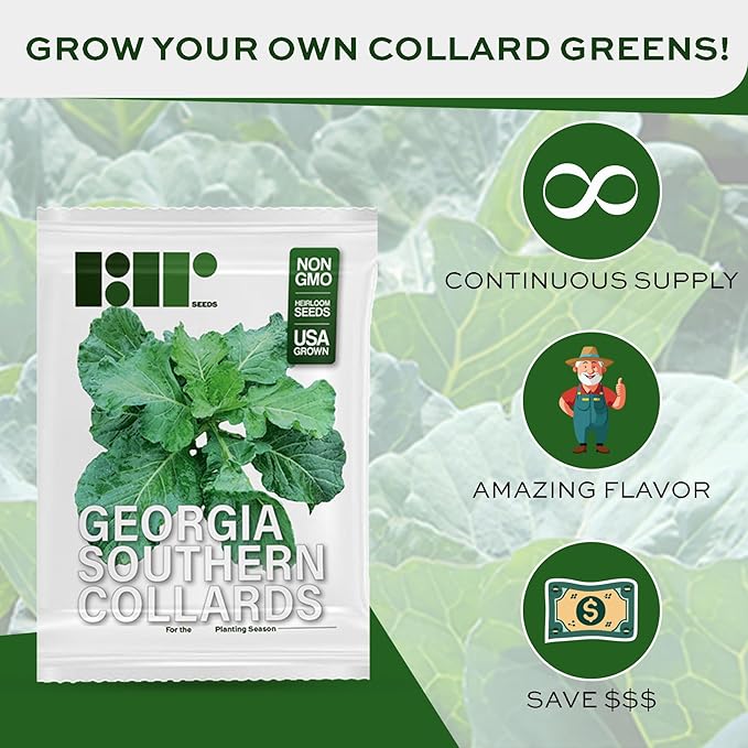 1000+ Georgia Southern Collard Greens Seeds for Planting - Heirloom, Non-GMO, USA Grown