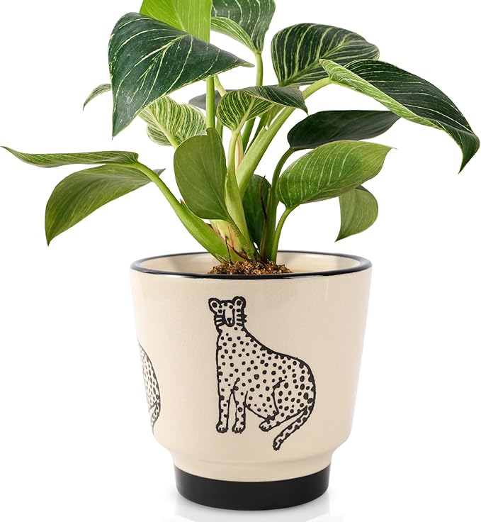 Indoor Ceramic Plant Pots with Drainage Holes 5 Inch Cute Succulent Flower Pots Small Orchid Planter Pots for Indoor Plants Garden Pots, Panther