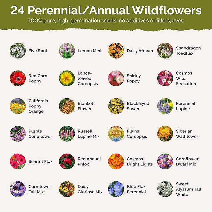 Eden Brothers Florida Wildflower Mixed Seeds for Planting, 1 oz, 30,000+ Seeds with Cornflower, Cosmos, African Daisy | Attracts Pollinators, Plant in Spring or Fall, Zones 3, 4, 5, 6, 7, 8, 9, 10