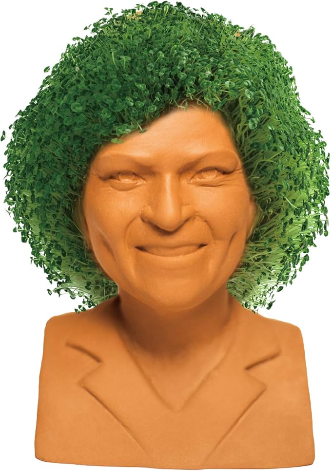 Chia Pet Golden Girls - Rose with Seed Pack, Decorative Pottery Planter, Easy to Do and Fun to Grow, Novelty Gift, Perfect for Any Occasion