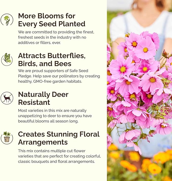 Eden Brothers Vintage Lace Flower Mixed Seeds for Planting, 1 lb, 480,000+ Seeds with Cosmos Gloria, Bishop's Flower, Snapdragon | Attracts Pollinators, Plant in Spring, Zones 3, 4, 5, 6, 7, 8, 9, 10