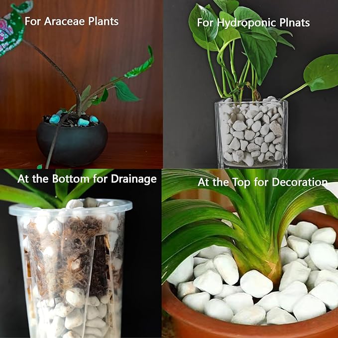 Natural 1-2CM Hard Chunky Perlite 2QT for Plants Horticultural Coarse Organic Pearlite Bulk Potting Mix Garden Soil Amendment for Enhanced Drainage and Ventilation for Orchid, Dendrobium, Araceae