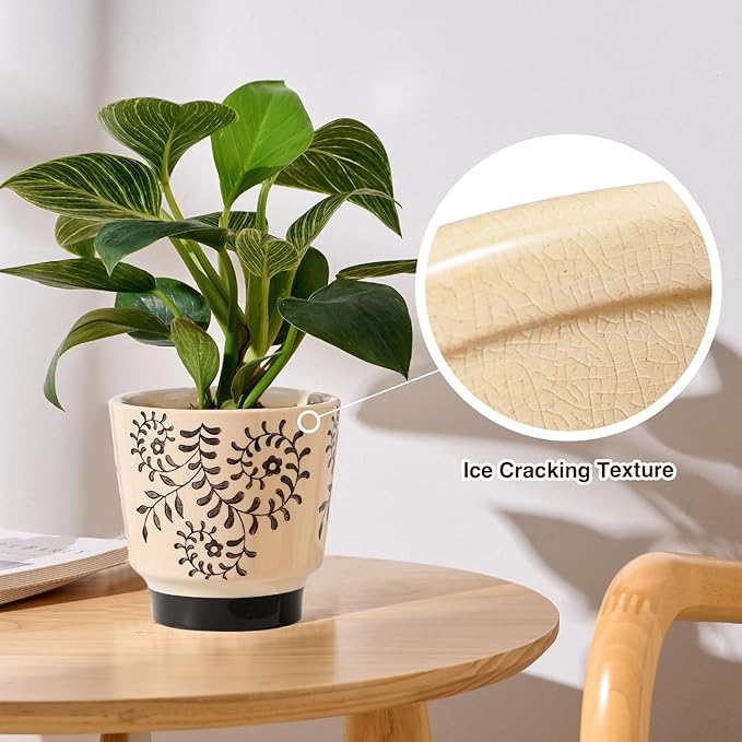 Indoor Ceramic Plant Pots with Drainage Holes 5 Inch Cute Succulent Flower Pots Small Orchid Planter Pots for Indoor Plants Garden Pots, Flower