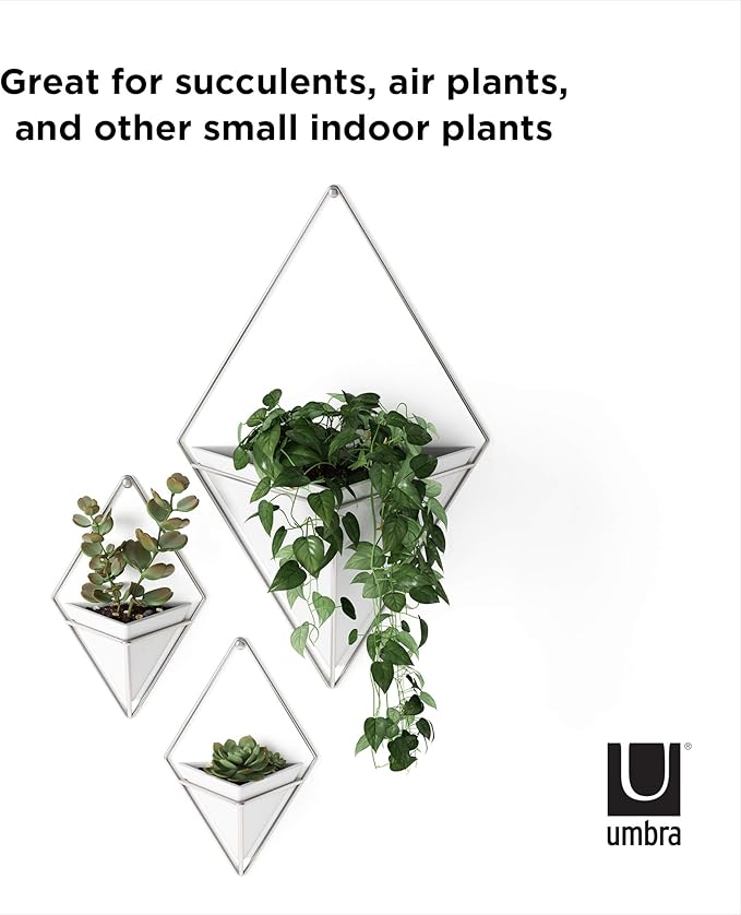 Umbra Trigg Small Wall Display, White-Nickel, Planter Pot, Indoor Outdoor Usage