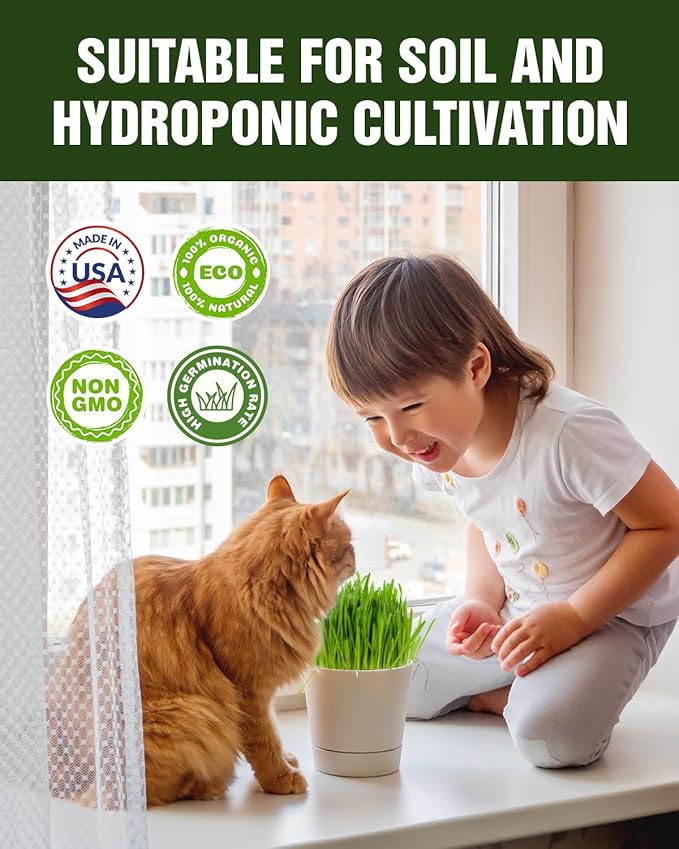 Cat Grass Seeds for Indoor Cats - Plant Catnip and Oat Grass, Heirloom Seed Packet for Indoor Planting Fun