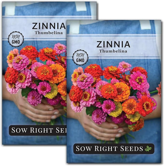 Sow Right Seeds - Thumbelina Zinnia Seeds for Planting - Beautiful to Plant in Your Flower Garden - Non-GMO Heirloom Packet with Instructions - Annual Cut and Come Again for Bouquets (2)