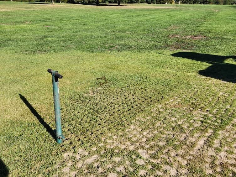 Edward Tools 5 in 1 Long Handle Garden Tool - Sturdy Steel Pro Grade Bulb Planter, Long Handle Weeder, Sod Plugger, Soil Probe, Transplanter - Step, Twist, Pull - Multi Depth Options