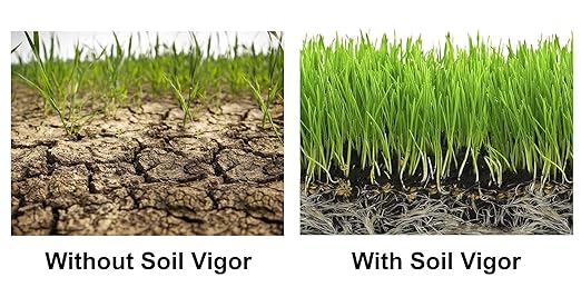 Commercial Grade Super Absorbent Polymer Potassium Based Water Crystal (40 Pound)