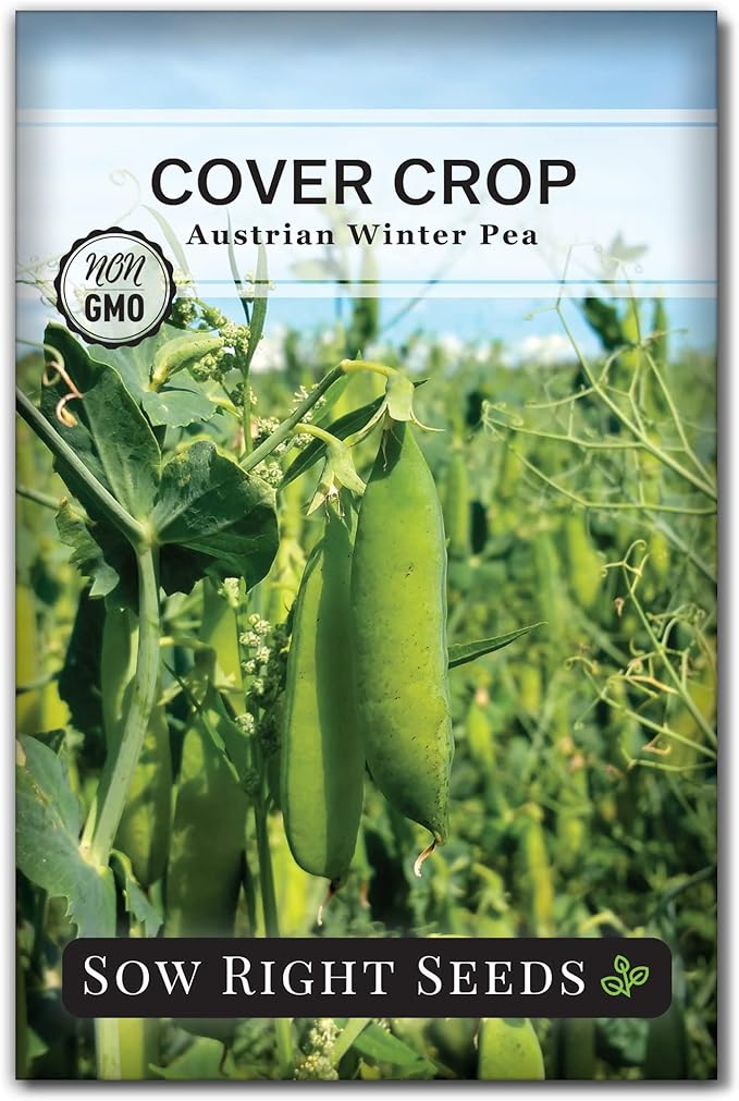 Sow Right Seeds - Austrian Winter Peas for Planting - Cover Crops to Plant in Your Home Vegetable Garden - Enriches and Fixes Soil - Adds Organic Matter - Non-GMO Heirloom Seeds - Great Gardening Gift